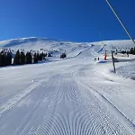 Oshi Jasna