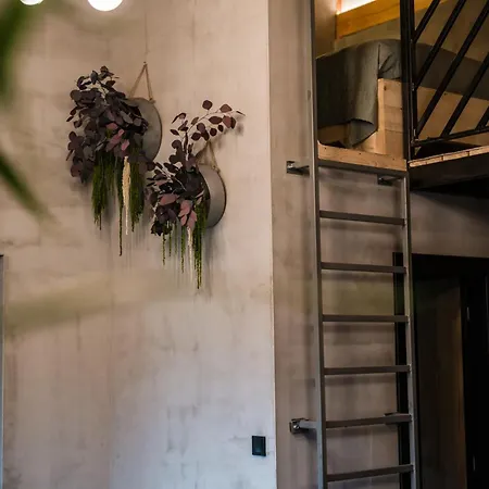 Oshi Jasna Apartment