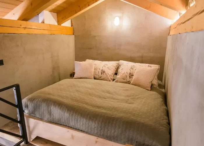 Oshi Jasna Appartement