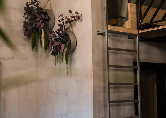 Oshi Jasna Appartement